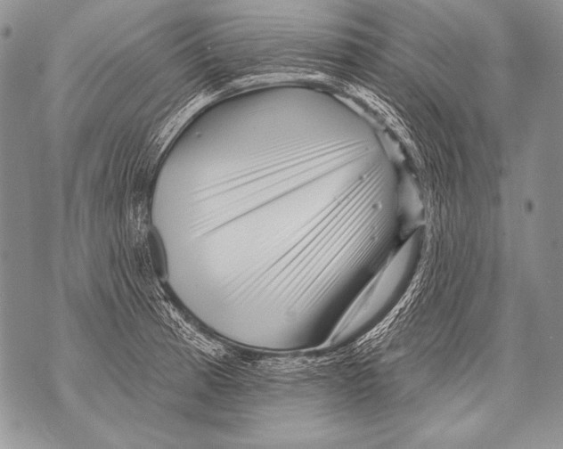 X0000071851185200607290125