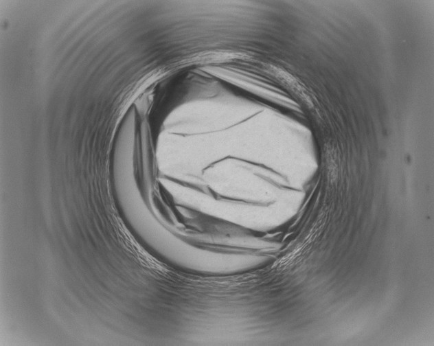 X0000071851186200607290125