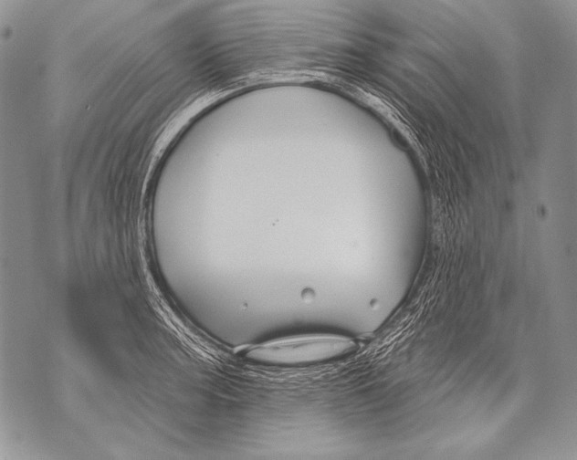 X0000071851187200607290125