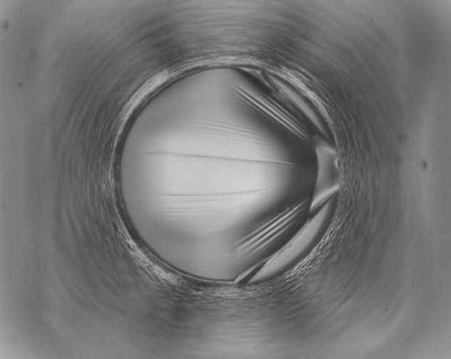 X0000071851189200607290125