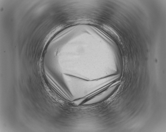 X0000071851190200607290125