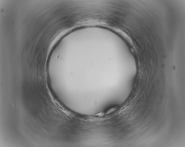 X0000071851191200607290125