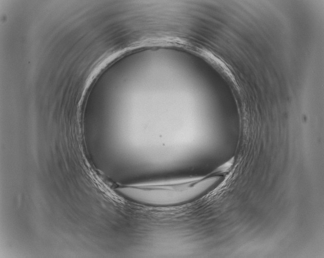 X0000071851192200607290125