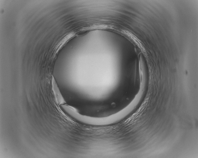 X0000071851193200607290125