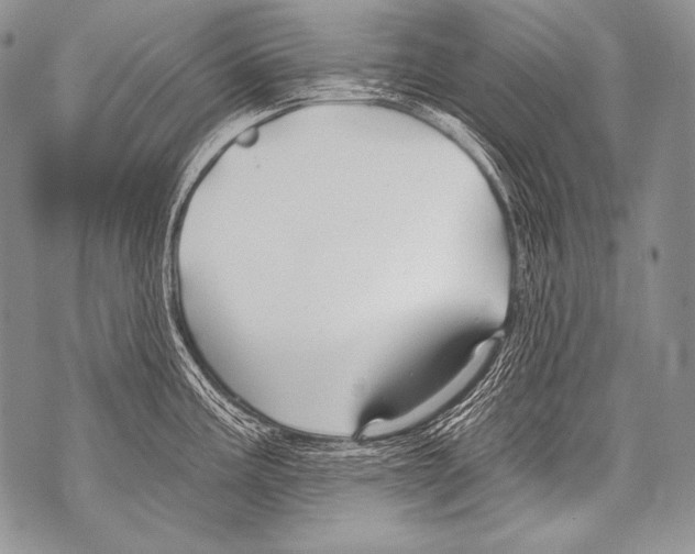 X0000071851195200607290125