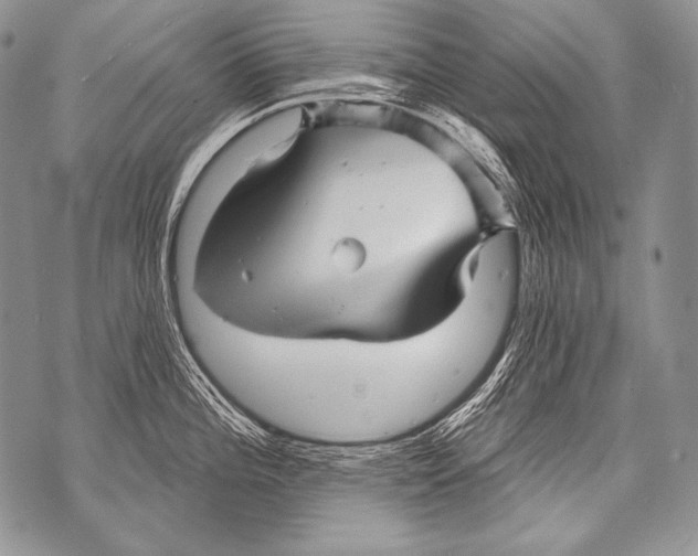 X0000071851196200607290125