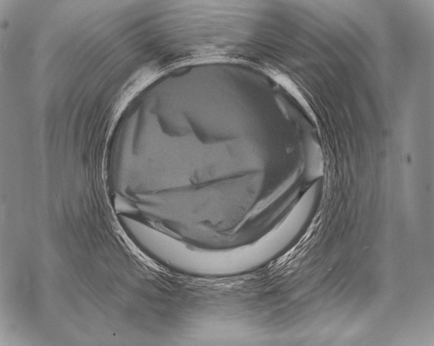 X0000071851197200607290125