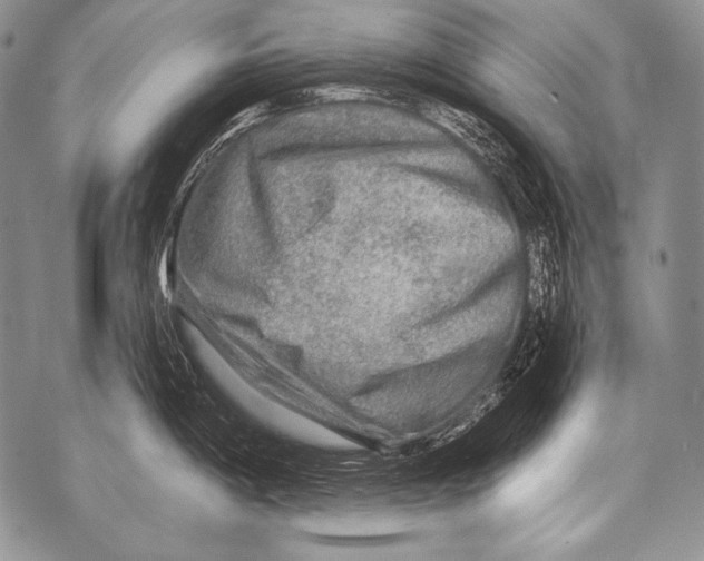 X0000071851198200607290125