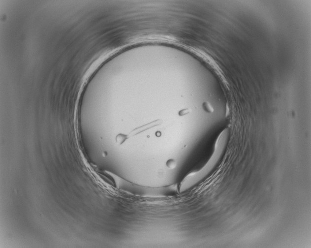 X0000071851199200607290125