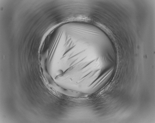 X0000071851200200607290125