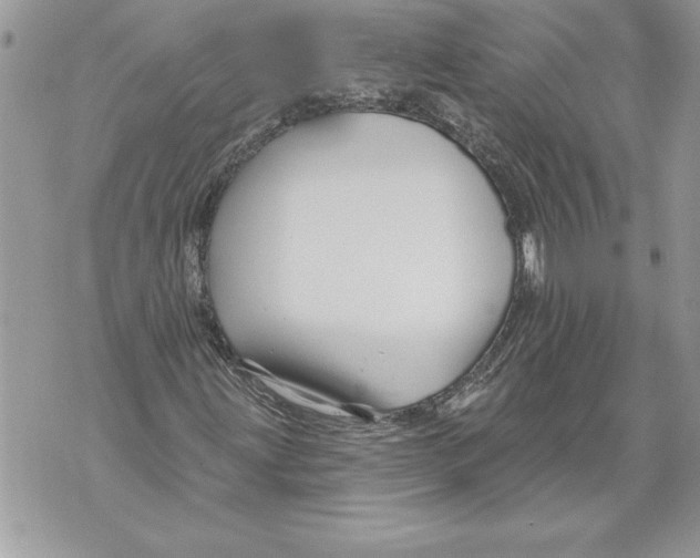 X0000071851203200607290124