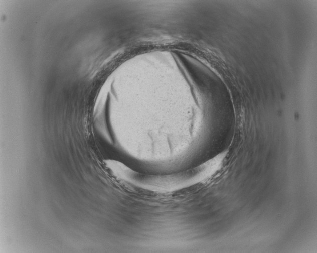 X0000071851205200607290124