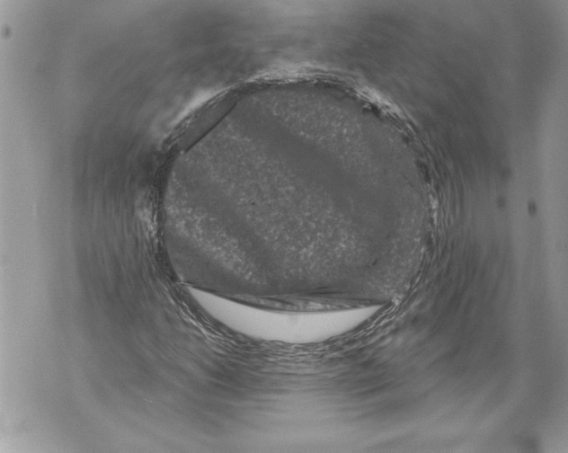 X0000071851206200607290124