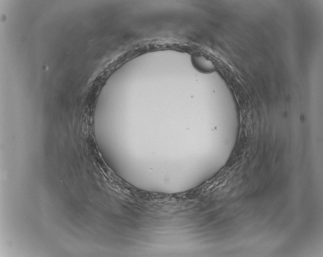 X0000071851207200607290124