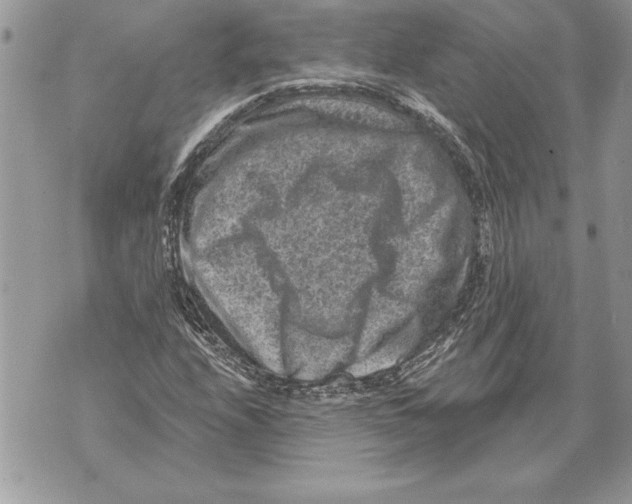 X0000071851208200607290124