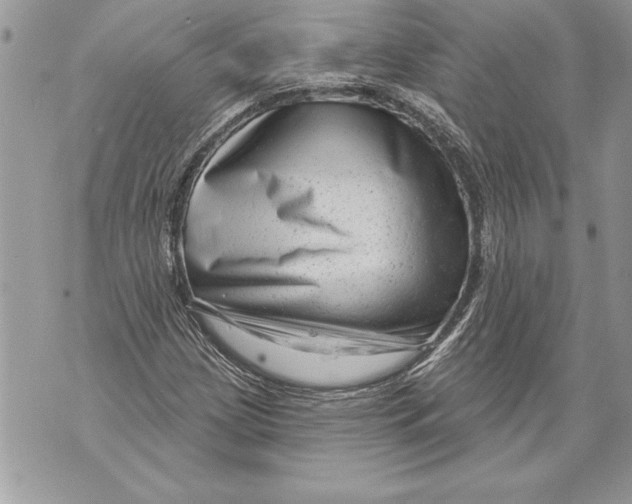 X0000071851209200607290124