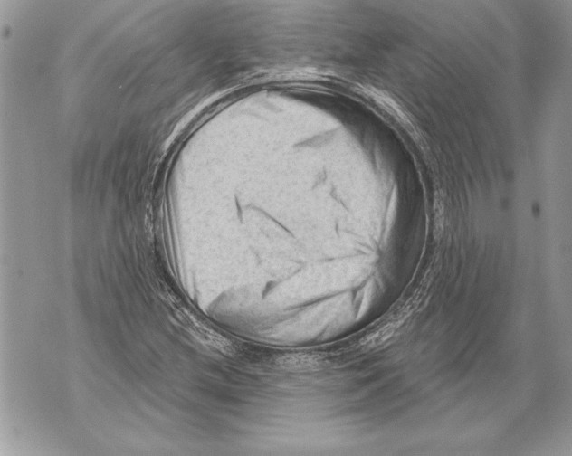 X0000071851212200607290124