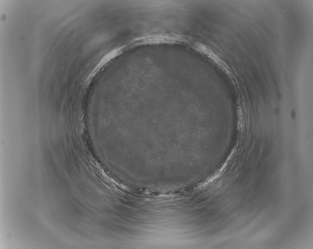 X0000071851213200607290124