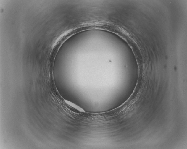 X0000071851214200607290124