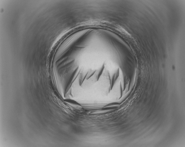 X0000071851216200607290124