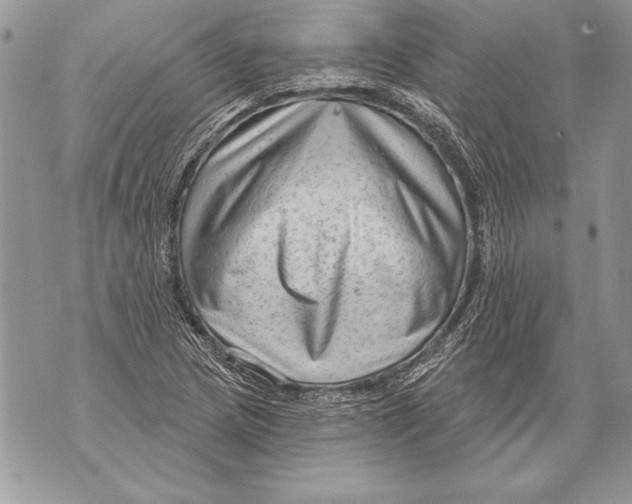 X0000071851217200607290124