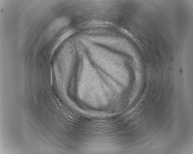 X0000071851219200607290124