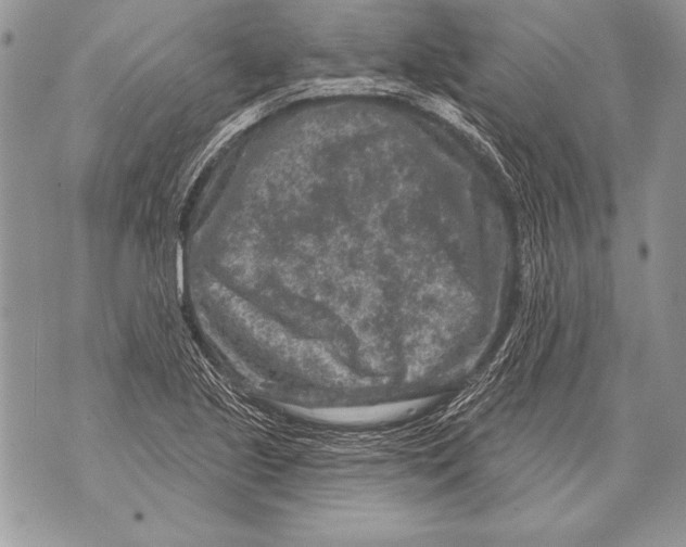 X0000071851221200607290124