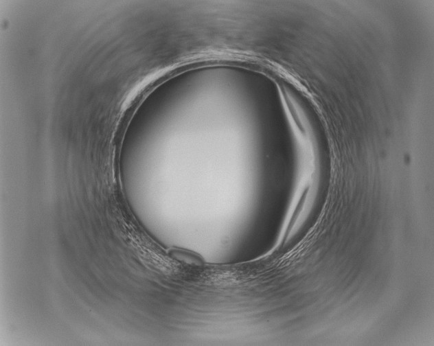 X0000071851222200607290124