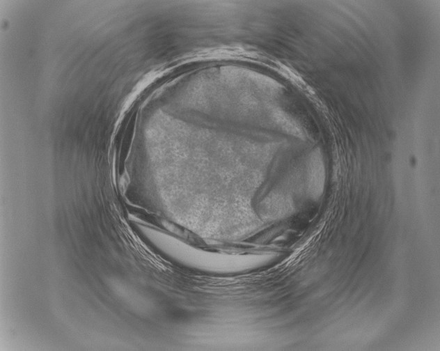 X0000071851224200607290124