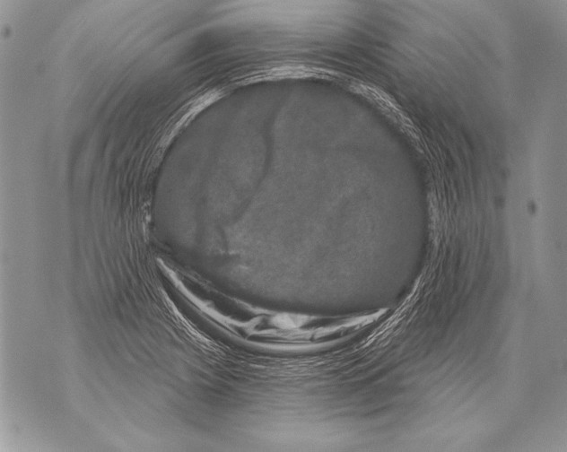 X0000071851225200607290124