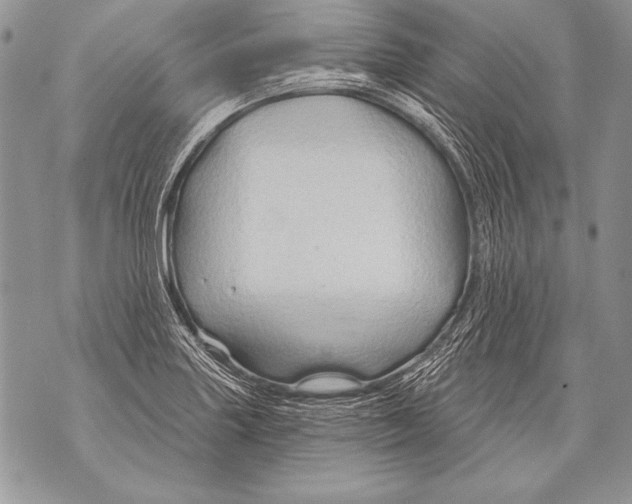 X0000071851227200607290124