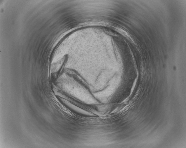 X0000071851228200607290124