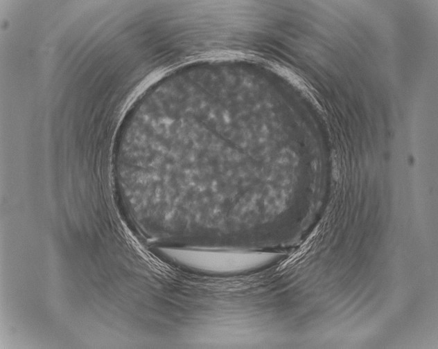 X0000071851229200607290124