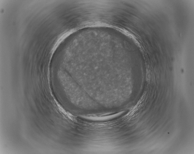 X0000071851231200607290124