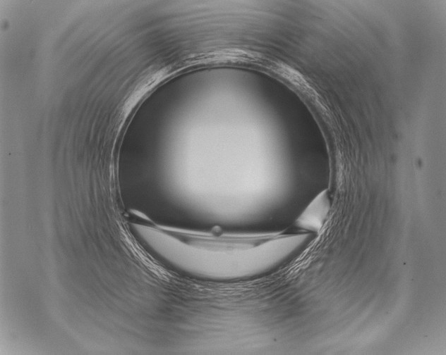 X0000071851234200607290124