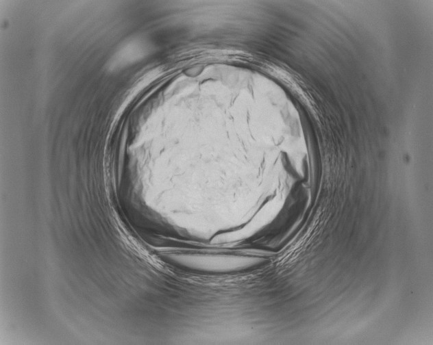 X0000071851235200607290124