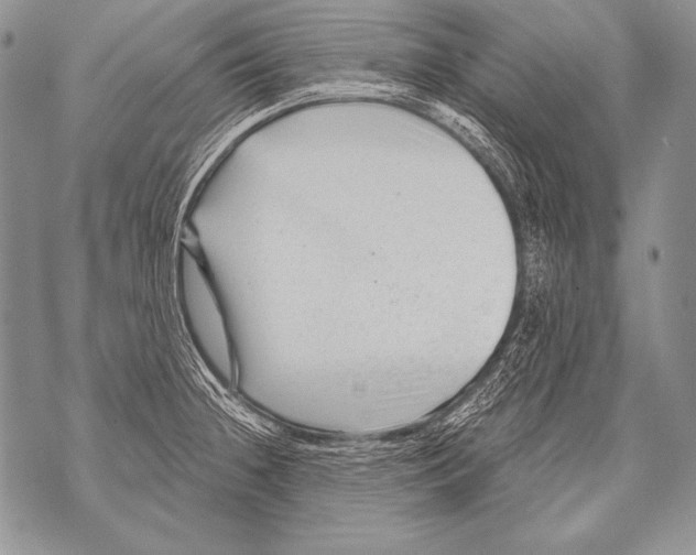 X0000071851236200607290124