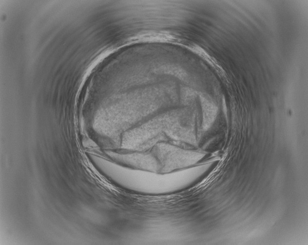 X0000071851240200607290124