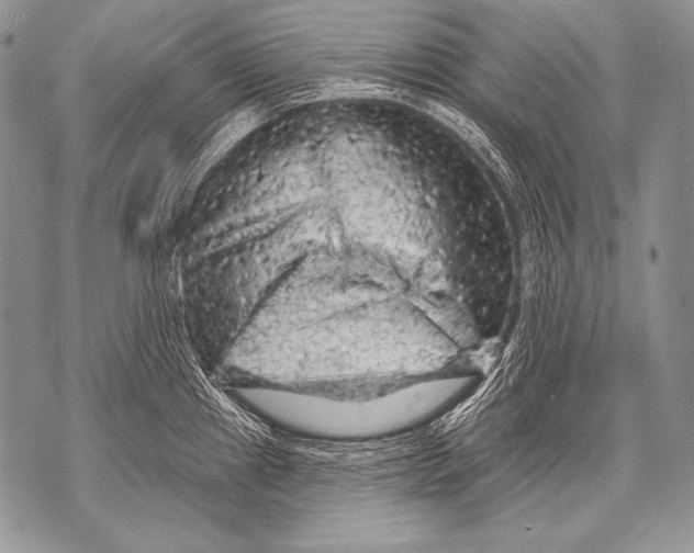 X0000071851241200607290124