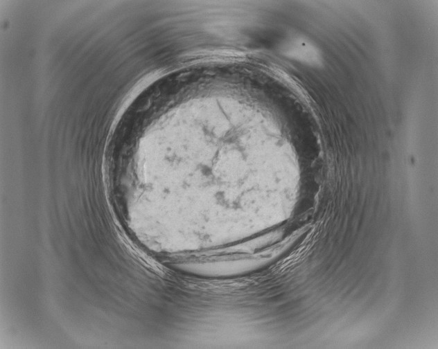 X0000071851243200607290124