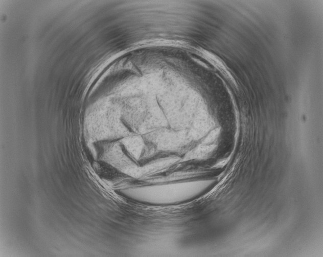 X0000071851244200607290124