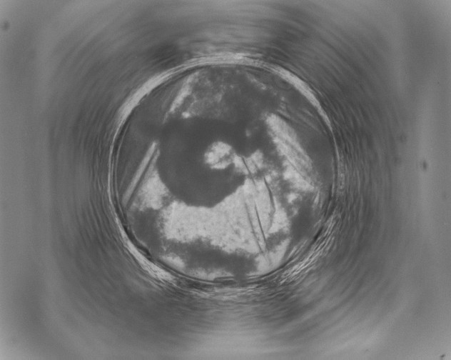 X0000071851245200607290124