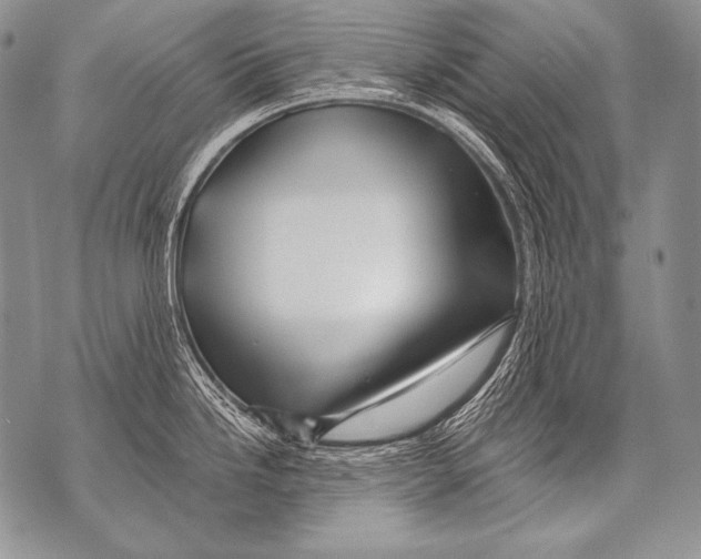 X0000071851246200607290124