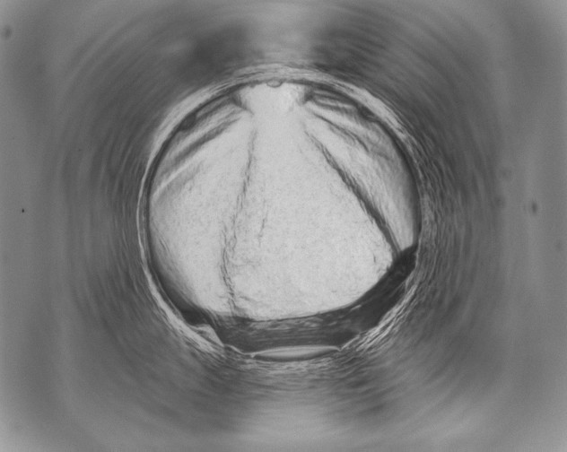 X0000071851247200607290124