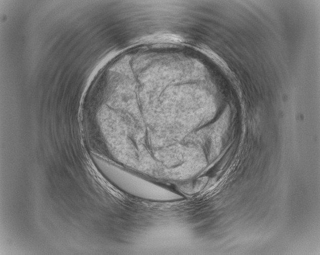 X0000071851248200607290124