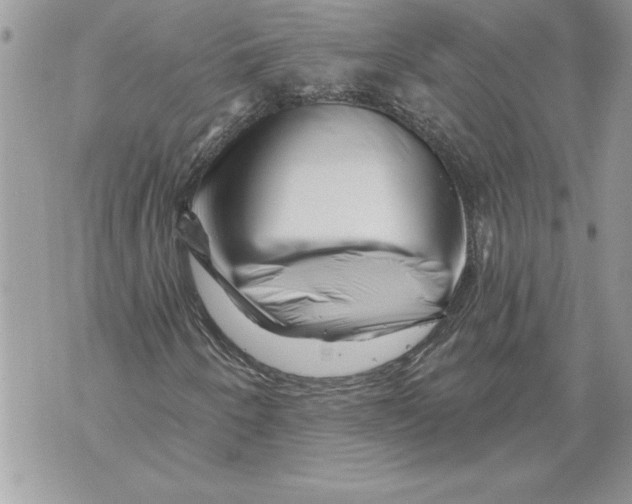 X0000071851250200607290124