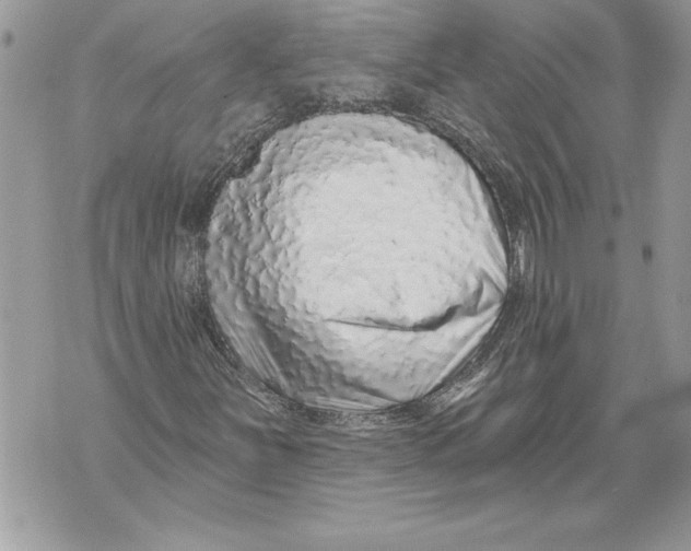 X0000071851251200607290124