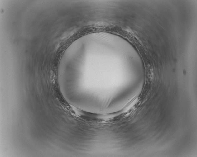 X0000071851253200607290124