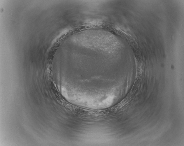 X0000071851254200607290124