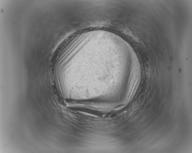 X0000071851256200607290124